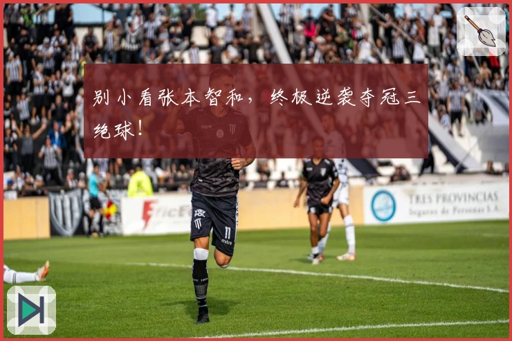 别小看张本智和，终极逆袭夺冠三绝球！