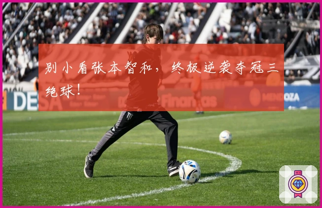 别小看张本智和，终极逆袭夺冠三绝球！